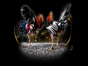 Hướng Dẫn Chơi Đá Gà Sabong Tại TK88 Như Một Chuyên Gia