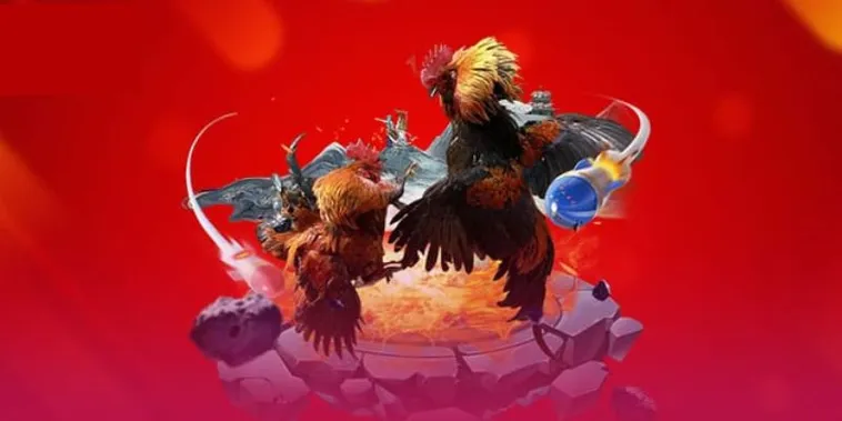 Đá Gà TK88 Đỉnh Cao Bùng Nổ Cảm Xúc Thăng Hoa Cùng Kê Chiến